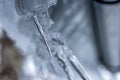 Close up detailed view on transparent melting thin icicle in spring with very blurry snowy roof, blue tone. Very sharp piece of