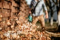 details of leaves swirling up when worker uses home leaf blower