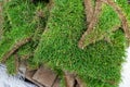 Close-up details leftover pieces of green fresh rolled lawn grass on wooden pallet after layinng at city park or