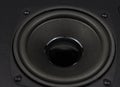 Close up details of loudspeaker woofer Royalty Free Stock Photo