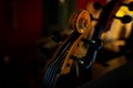 Details of Violin head Royalty Free Stock Photo