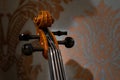 Details of Violin head Royalty Free Stock Photo