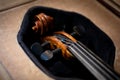 Details of Violin head Royalty Free Stock Photo