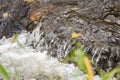 Close up details of waterfall stream white bubbles small countryside river