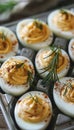 Close Up of Deviled Eggs Garnished with Fresh Dill and Paprika, Arranged in a Metal Tray Royalty Free Stock Photo