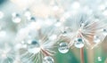 Close-up of dew drops on a dandelion seed. Created with AI