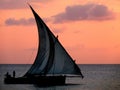 Close up of dhow sailing gracefully by at sunset, Zanzibar Royalty Free Stock Photo
