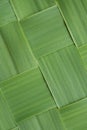 Close-up diagonal pattern of woven grass leaves