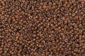 Different brown seed beads background. Royalty Free Stock Photo