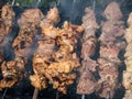 Close up of different kinds of meat on metal skewers - pork and chicken grilling on fire, coals and smoke in grill. Macro of Royalty Free Stock Photo