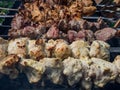 Close up of different kinds of meat on metal skewers - pork and chicken grilling on fire, coals and smoke in grill. Macro of Royalty Free Stock Photo