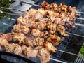 Close up of different kinds of meat on metal skewers - pork and chicken grilling on fire, coals and smoke in grill. Macro of Royalty Free Stock Photo