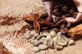 Close-up different types of coffee beans in a bag, green coffee, sticks of cinnamon and anise star, macro, set Royalty Free Stock Photo