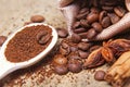 Close-up different types of coffee beans on wooden spoons, green coffee and anise star, macro, set Royalty Free Stock Photo