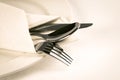 Close up dinning silverware fork , spoon and knife with dish on Royalty Free Stock Photo