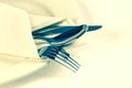 Close up dinning silverware fork , spoon and knife with dish on Royalty Free Stock Photo