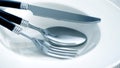 close up dinning  silverware fork , spoon and knife with dish on white background and text space Royalty Free Stock Photo