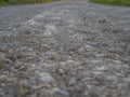 Close-up of a dirt road on the border of a lake in Switzerland, in Spring