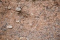 Dirt soil texture Royalty Free Stock Photo