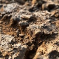 a close up of a dirt surface