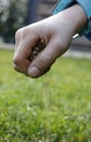 Close up of a dirty boy's hand dropping grass seeds into the lawn in the garden Royalty Free Stock Photo