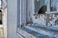 Close up of a dirty broken boarded up window sill on an abandoned building Royalty Free Stock Photo