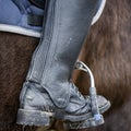 Close up of a dirty riding boot Royalty Free Stock Photo