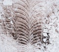 Close-up of dirty snow in winter in the city. Traces of the wheels of the car`s tread on the snow.