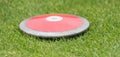 Close up of discuses on grass Royalty Free Stock Photo
