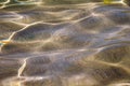 Close-up Distorted texture of sand under water. Transparent water ripples, sand waves and glare of sunlight. Seabed Royalty Free Stock Photo