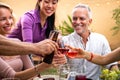 Close-up of diverse happy friends having fun, toasting with wine and beer during garden dinner party. Royalty Free Stock Photo