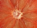 Close-up of a divided orange grape fruit