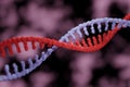 Close-up of DNA seperation Royalty Free Stock Photo