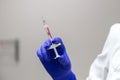 Close-up of the doctor`s hands, wearing blue sterile gloves, holding a syringe ready for vaccination Royalty Free Stock Photo