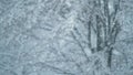 CLOSE UP, DOF: Blurry snowflakes cover the wintry avenue on cold winter morning. Royalty Free Stock Photo