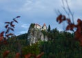 CLOSE UP: Branches obstruct the view of the breathtaking castle on the cliff