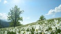 CLOSE UP, DOF: Endless meadow in sunny Alps is full of beautiful white narcissi.