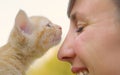 CLOSE UP, DOF: Lovely purring kitten sniffing cheerful Caucasian girl\'s nose.