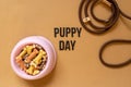 Close up of a dog bowl with bones, leather leash on brown background. Royalty Free Stock Photo