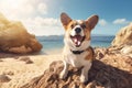 close-up of a dog. happy dog on sea vacation