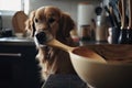 close-up of dog's paw, holding wooden spoon, while it cooks in busy kitchen