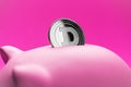 Close-up of dogecoin physical coin in pink piggy bank with some copy space