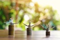 Close up dollar bird and coin on wood table Royalty Free Stock Photo