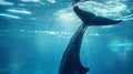 Close up dolphin tail in the deep sea water. Concept for World Ocean Day Royalty Free Stock Photo