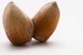 Close up of double hazelnut in a shell isolated on white background