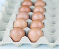 Close-up of a dozen brown eggs in a gray cardboard box. The eggs are neatly arranged in rows Royalty Free Stock Photo