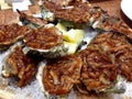 Close up dozen Oysters Kilpatrick in shells on bed sea salt