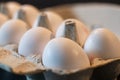 Close up of dozen white eggs in cardboard box on kitchen table Royalty Free Stock Photo