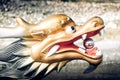 A close-up of Dragon Boat decorated head Royalty Free Stock Photo