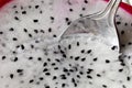 Close up of dragon fruit flesh and silver spoon Royalty Free Stock Photo